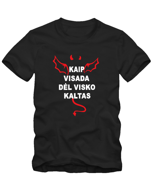 Dėl visko kaltas